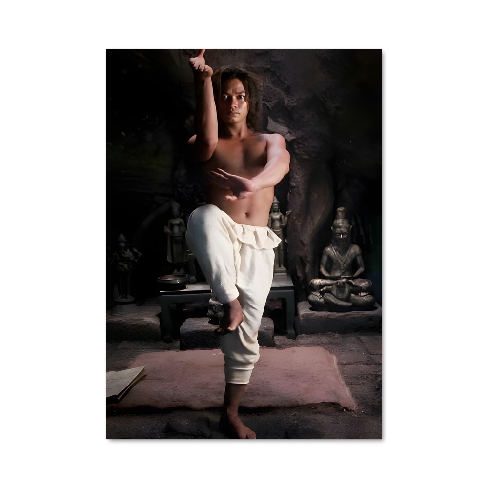 Poster Tony de jaa